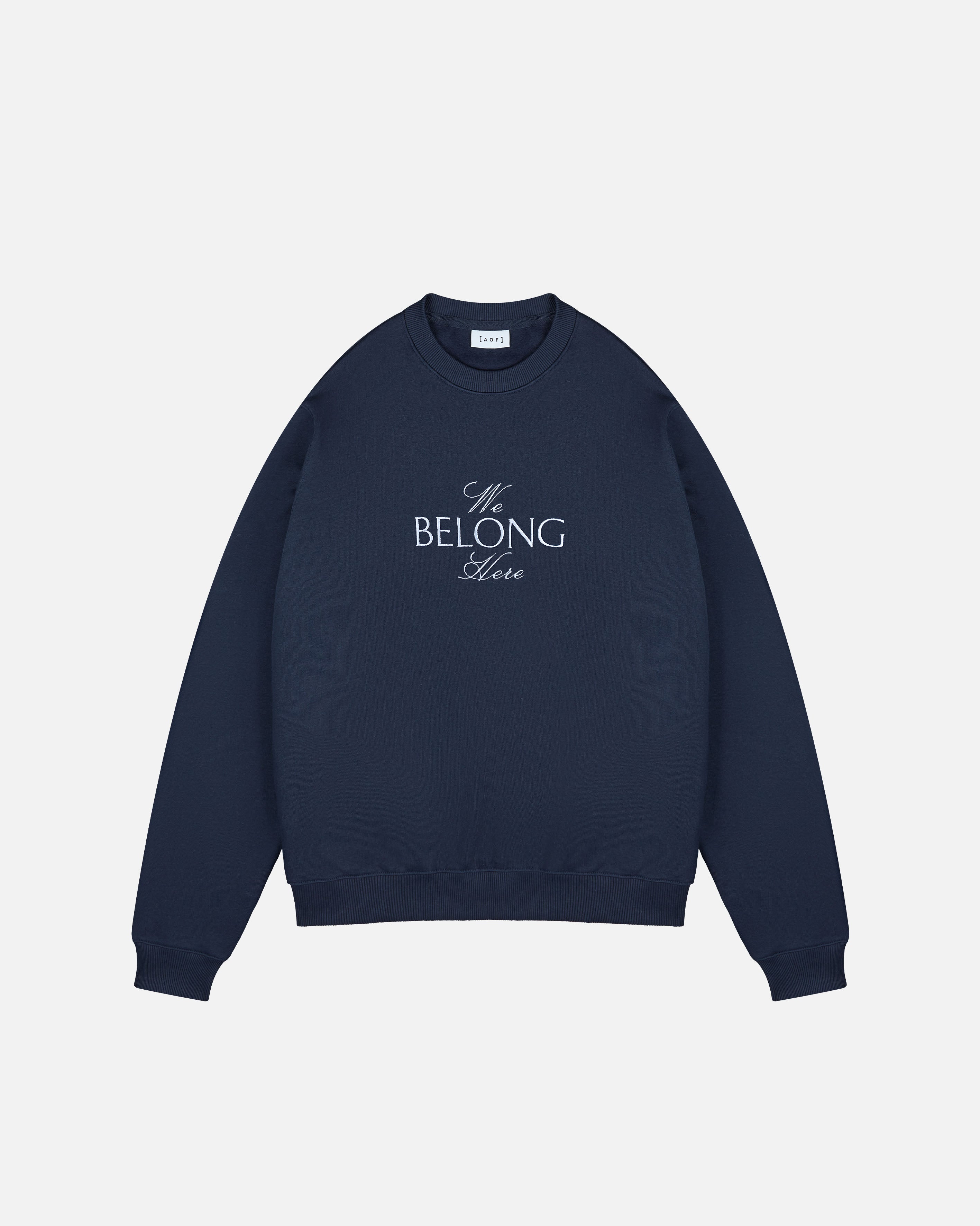 ART OF x FC Como We Belong Sweat | Navy Football Jumper