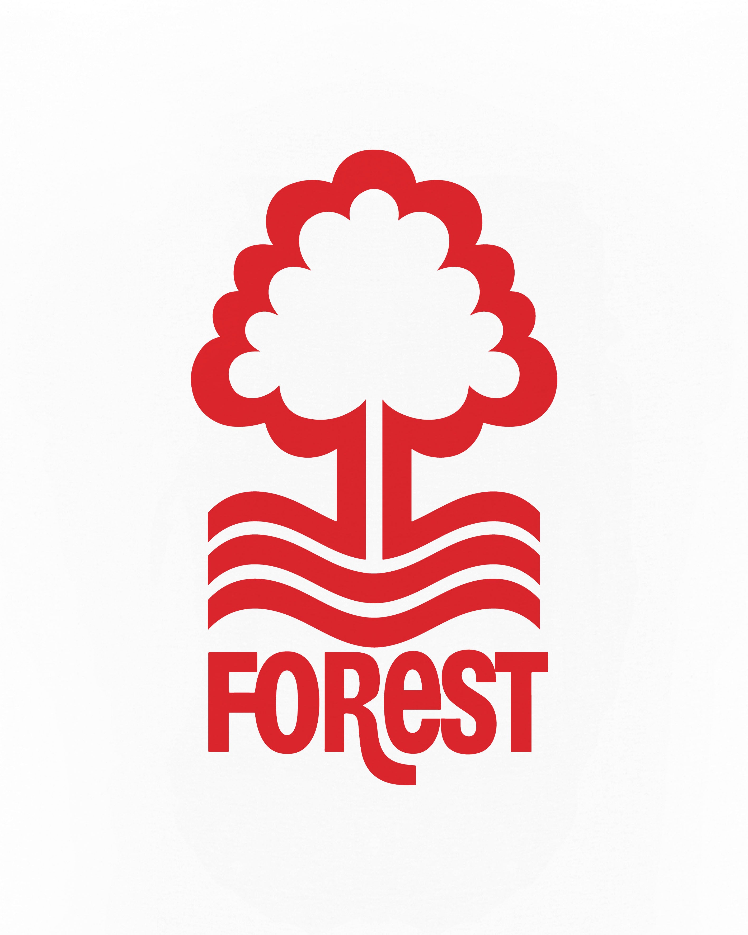 ART OF x Forest 90s Crest Tee | White Graphic Football T-shirt